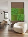 Jangal Modular Wall plantepanel 52 x 52 cm - Podocarpus Tea Tree